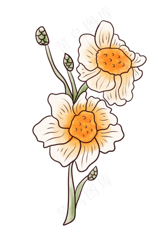 春天鲜花植物花朵