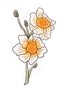 春天鲜花植物花朵