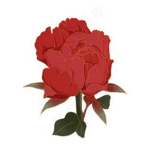 中秋节暗红色金边牡丹花苞,免抠元素