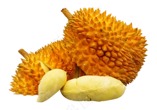 美味的榴莲