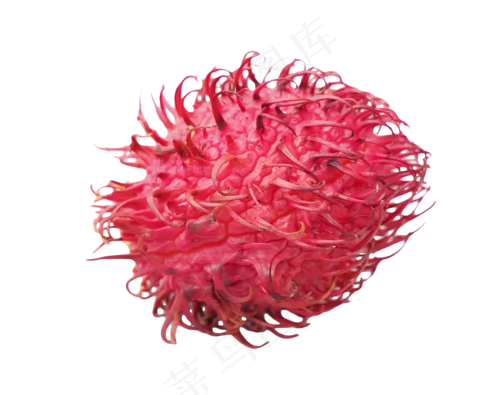 毛丹水果(3800*3000px 300 dpi )