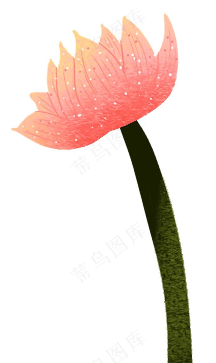 荷花花朵图案(1190X2000(DPI:300))psd模版下载