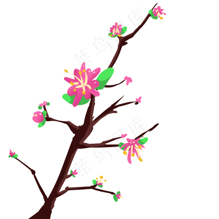 花朵树枝观花植物