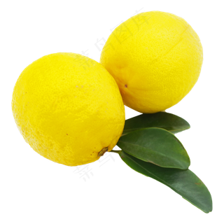 两个柠檬