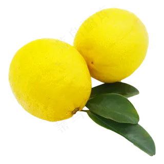 两个柠檬 两个柠檬