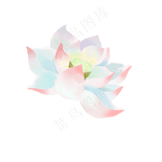 白色绽放的荷花元素