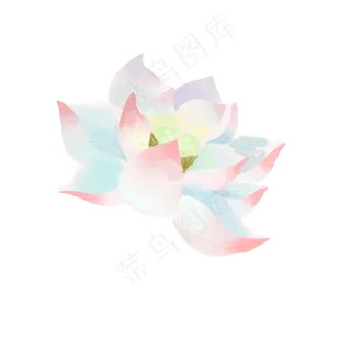 白色绽放的荷花元素 白色绽放的荷花元素