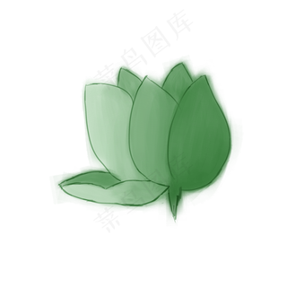 荷花通用词绿色荷花