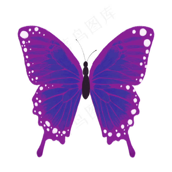紫色蝴蝶png图片素材