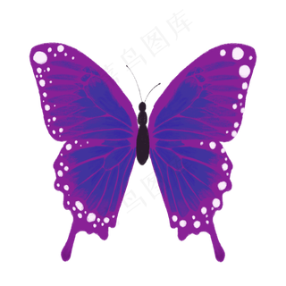 紫色蝴蝶png图片素材