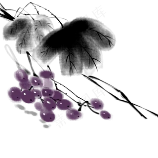 中国风古典风格古风水墨矢量图葡