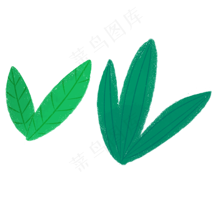 绿叶春季自然植物