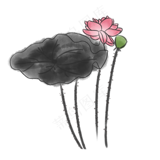 中国传统水墨荷花