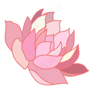 粉色的一盏卡通荷花