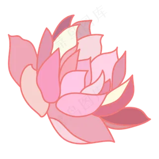 粉色的一盏卡通荷花