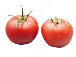 维生素红色番茄