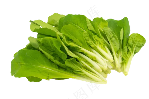 蔬菜小白菜 蔬菜小白菜
