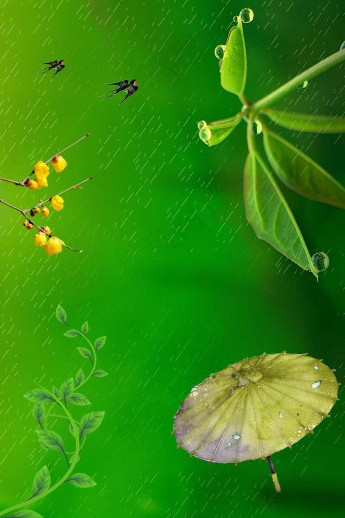 白露二十四节气纸伞露珠绿叶海报