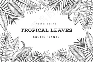 热带植物横幅banner设计。手绘热带夏季异域树叶插图。丛林树叶，棕榈叶雕刻风格。复古背景设计