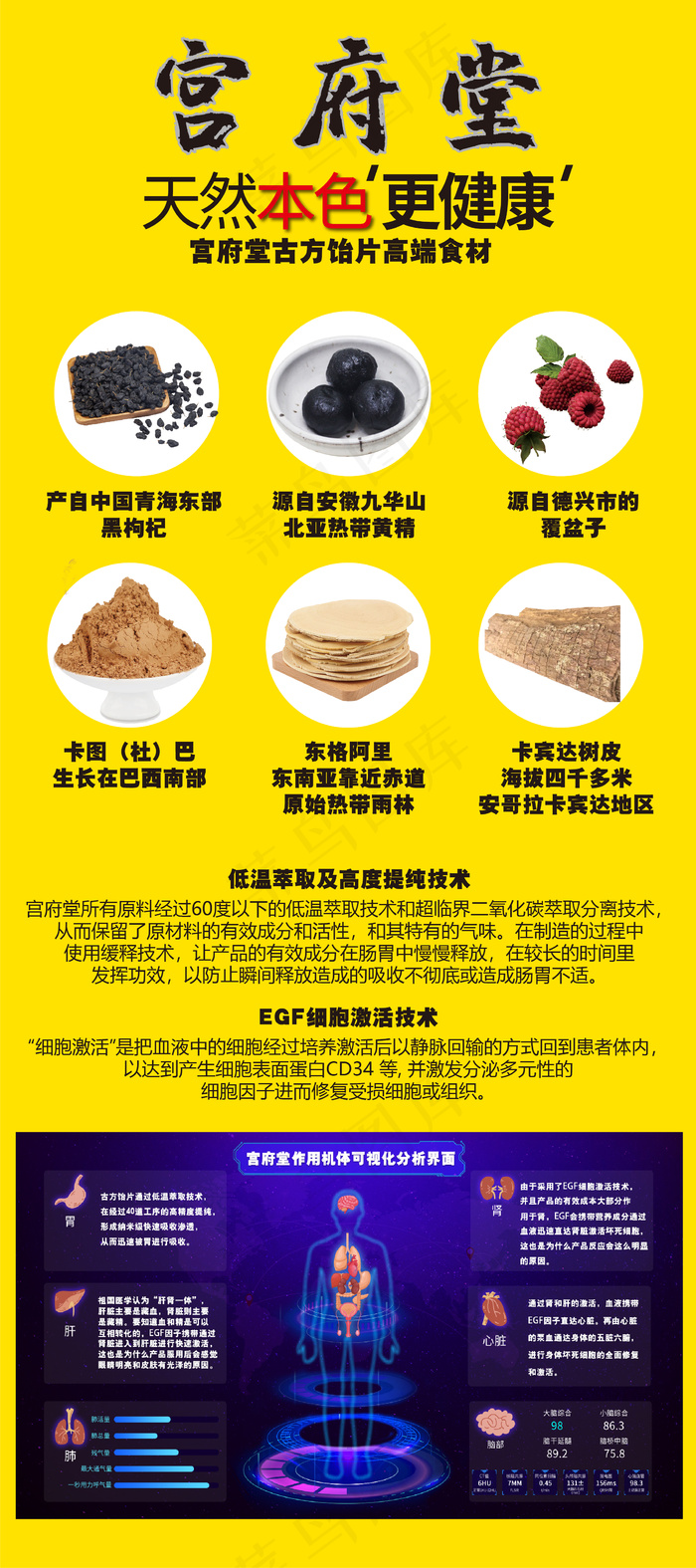 宫府堂产品及功效易拉宝ai矢量模版下载