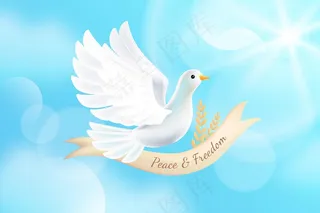 现实自由鸽背景
