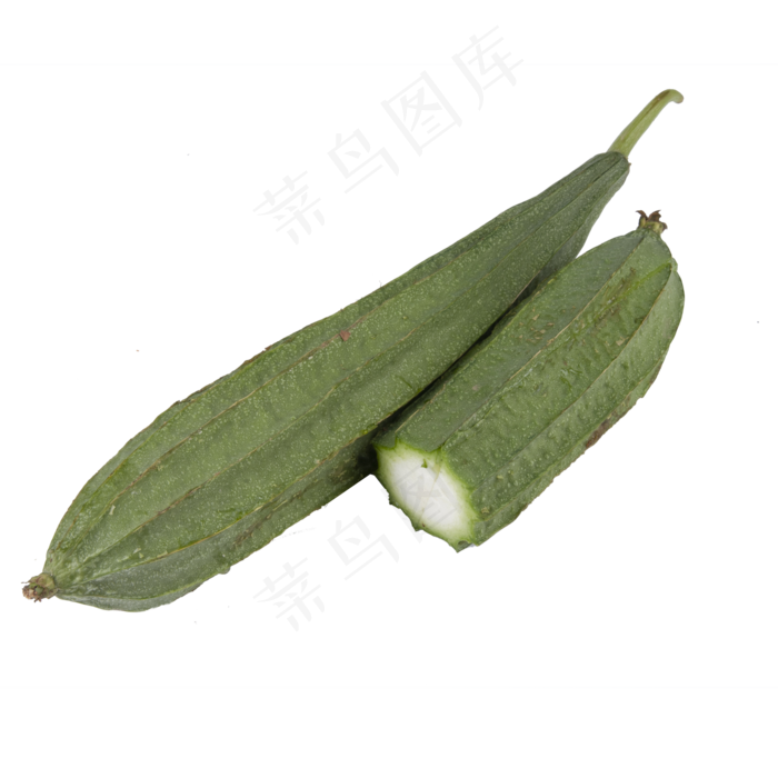 绿色丝瓜食物元素(2000*2000px 300 dpi )