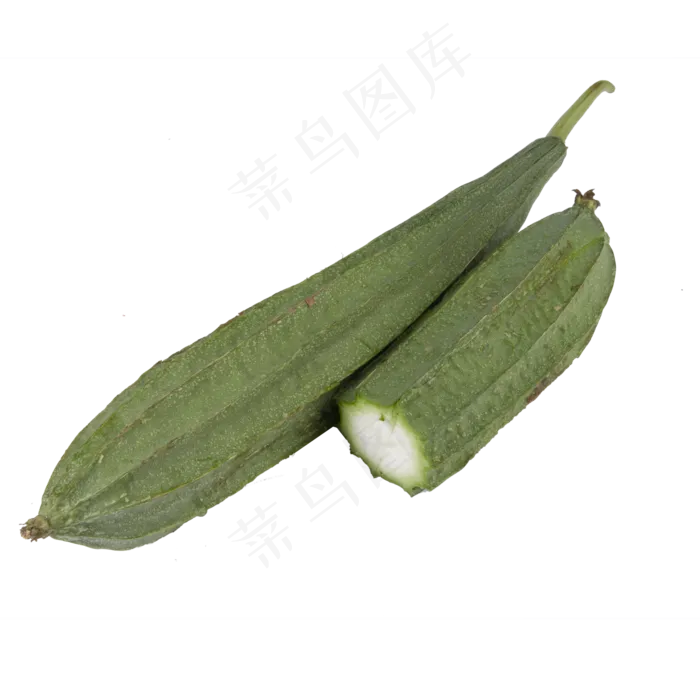 绿色丝瓜食物元素(2000*2000px 300 dpi )