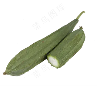 绿色丝瓜食物元素