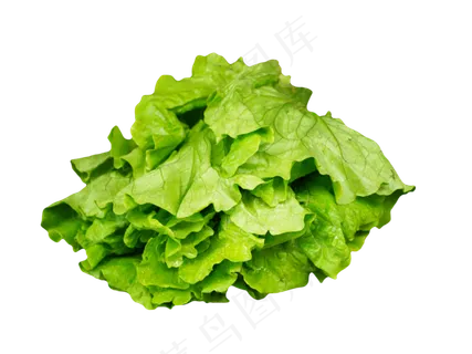 新鲜蔬菜生菜 新鲜蔬菜生菜