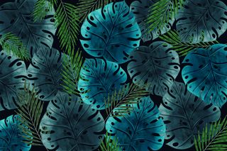 真实深色热带树叶壁纸