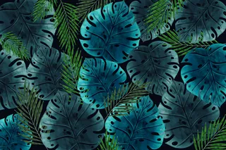 真实深色热带树叶壁纸