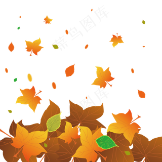 秋分立秋金色枫叶