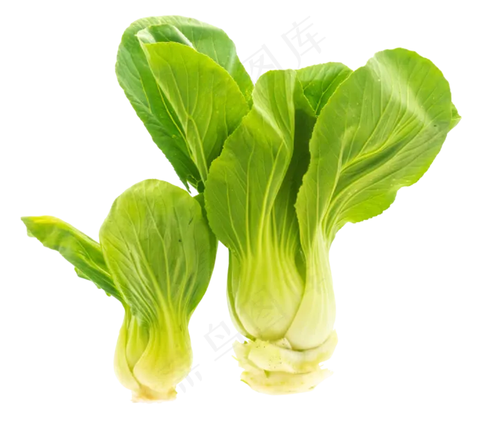 绿色油菜蔬菜(3000X3000(DPI:300))