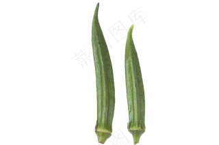 美味营养清脆秋葵