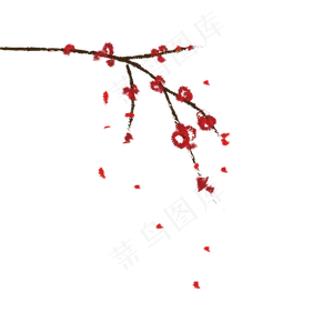梅花冬梅梅花枝