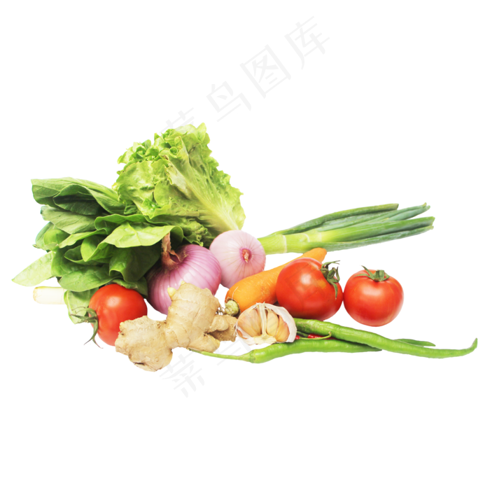 生菜番茄辣椒洋葱大蒜萝卜