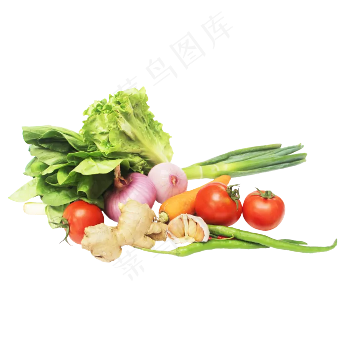 生菜番茄辣椒洋葱大蒜萝卜(2000X2500(DPI:299))