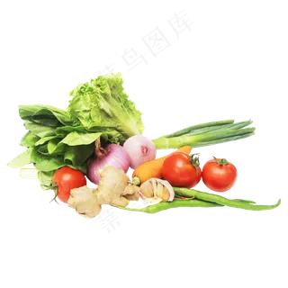 生菜番茄辣椒洋葱大蒜萝卜