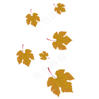 秋天的叶子