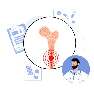 骨髓解剖海报。 骨髓解剖海报。