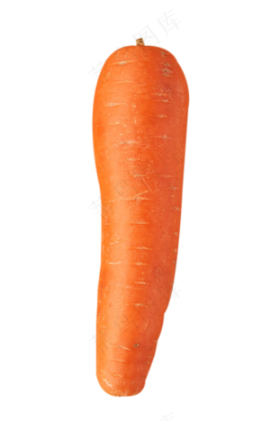 胡萝卜蔬菜