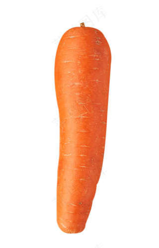 胡萝卜蔬菜