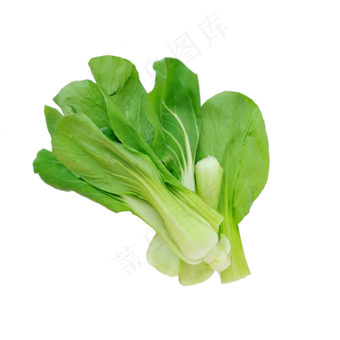 小新鲜的油菜(2000X2000(DPI:300))