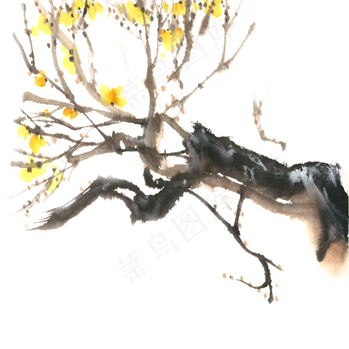 腊梅花开水墨画PNG免抠素材(4724X4724(DPI:300))psd模版下载