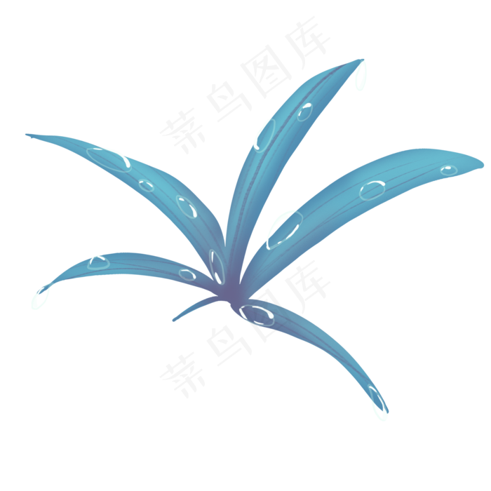 寒露花草露水(2000X2000(DPI:300))psd模版下载