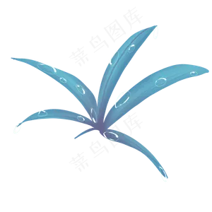 寒露花草露水