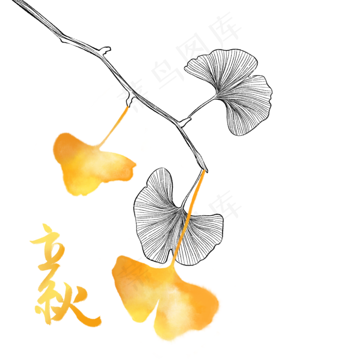 节气立秋植物(2000X2000(DPI:300))psd模版下载