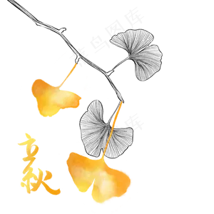 节气立秋植物