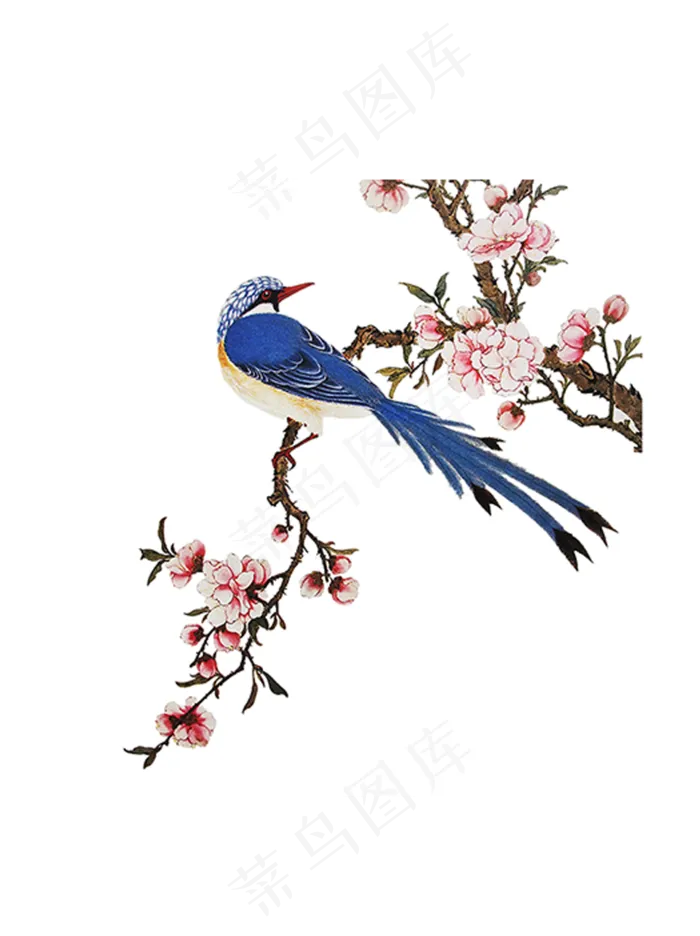 国画花鸟中国风高清免扣素材13