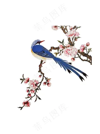 国画花鸟中国风高清免扣素材13